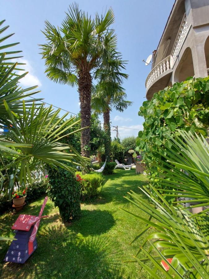 Apartman Palma Marinici  Eksteriør billede